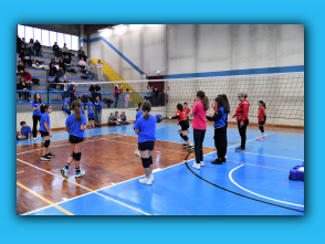 Volley_S3_25.01.26  (23).jpg